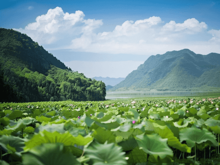 事业单位公示后流程需要多久