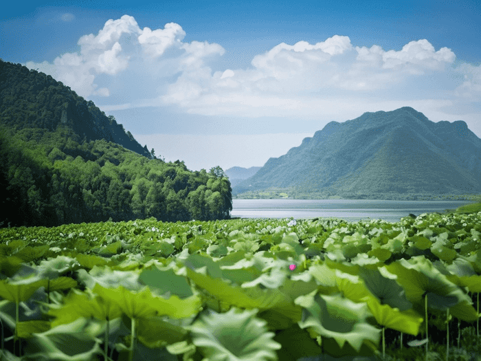 为什么省直单位比市直待遇低