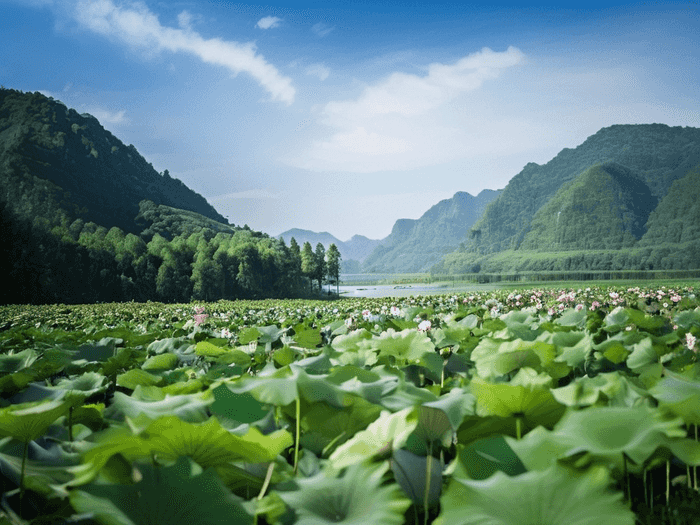 湖北事业单位考试考什么