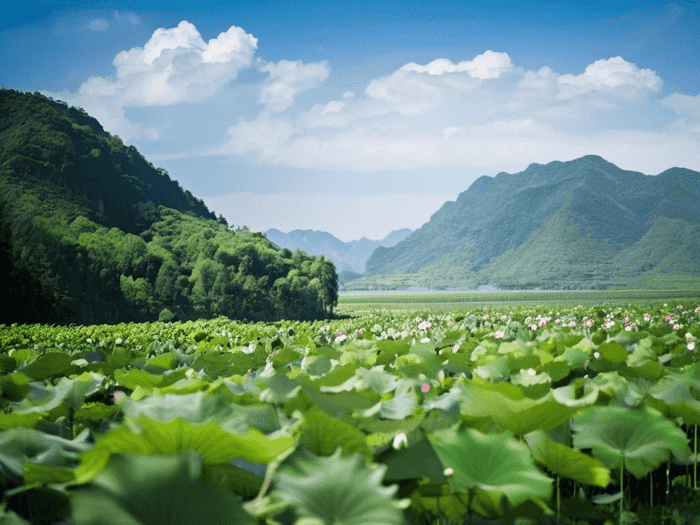 宁夏事业单位考试成绩怎么算