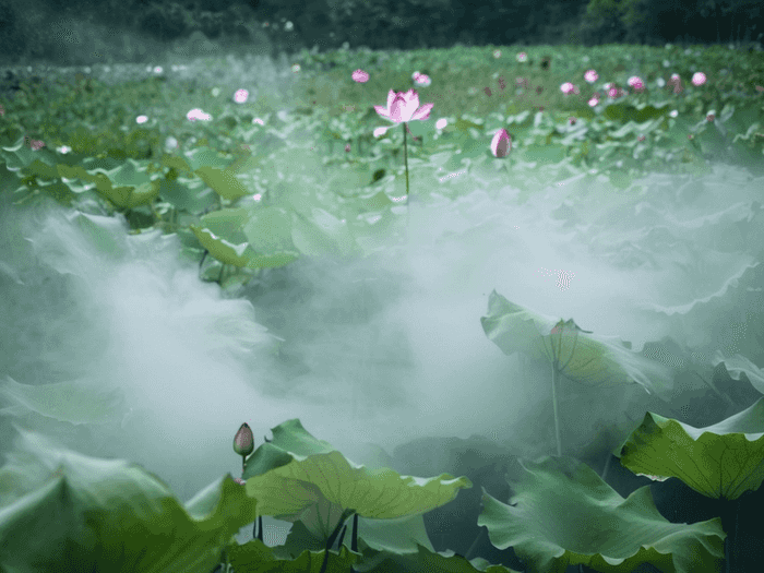 萧县教师考编大纲哪里看