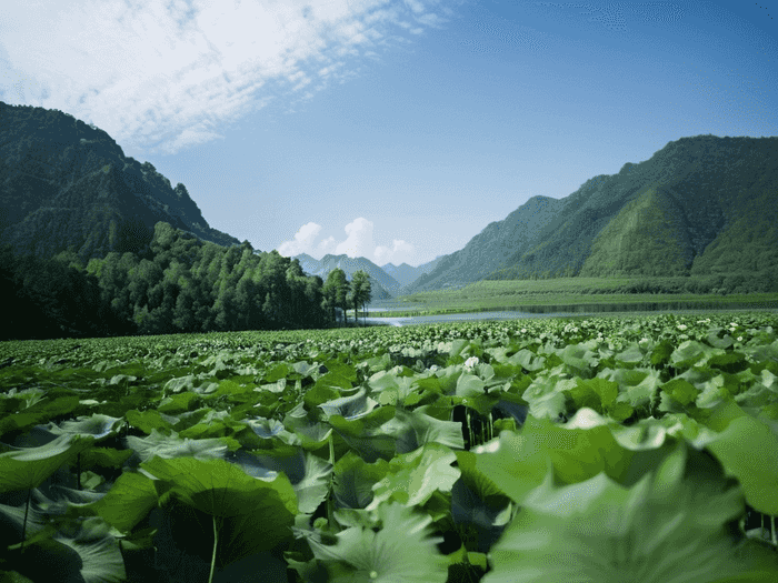 什么企业考行测