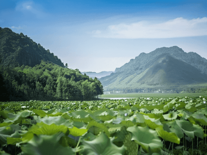 石膏花饰安装准备事项有哪些