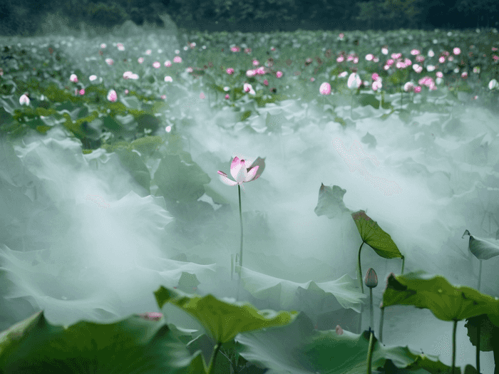 结构混凝土刚性自防水为什么会局部失效