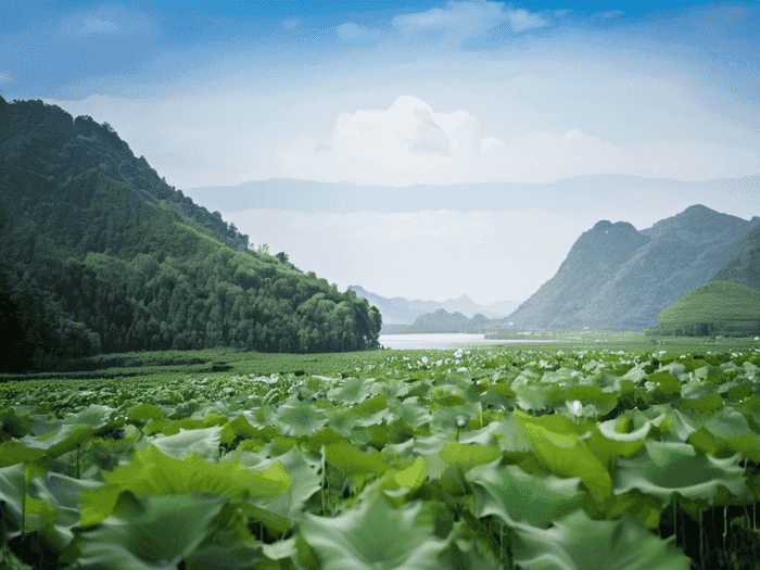 一级建造师真的有用吗