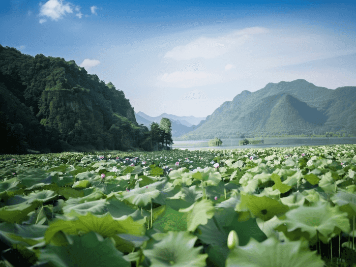 美国本科留学申请流程