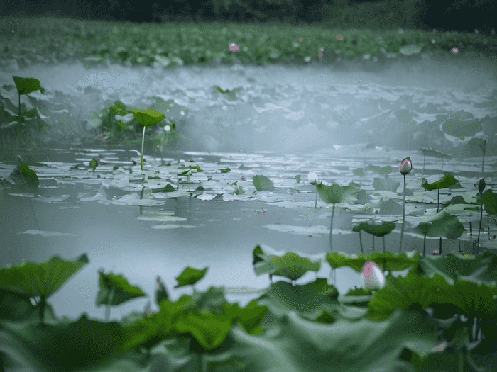 澳洲建筑学硕士院校