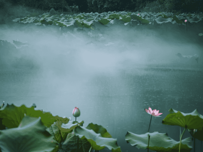 艺术生留学爱尔兰就业前景