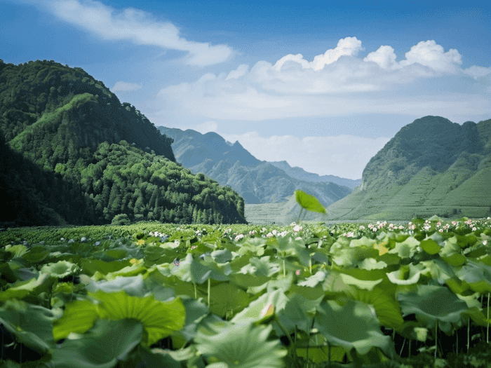 盘点爱尔兰留学五大优势