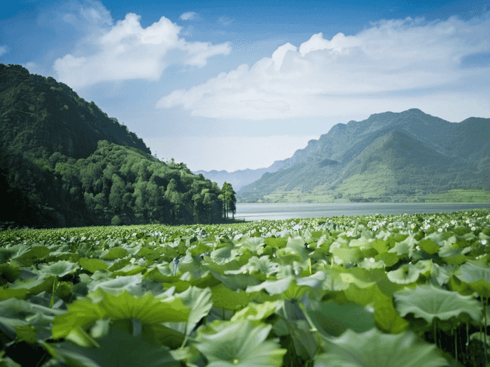 建筑学去哪留学比较好