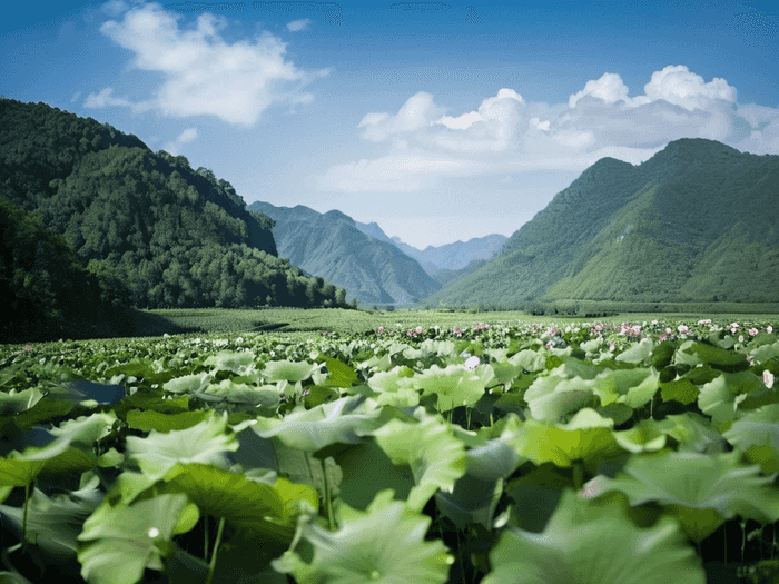 澳洲卧龙岗大学旅游管理专业怎么样