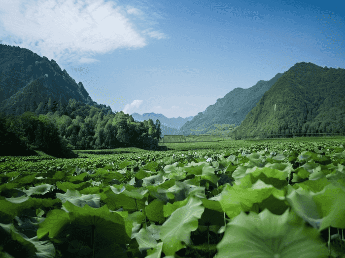 A水准成绩如何申请澳洲的大学