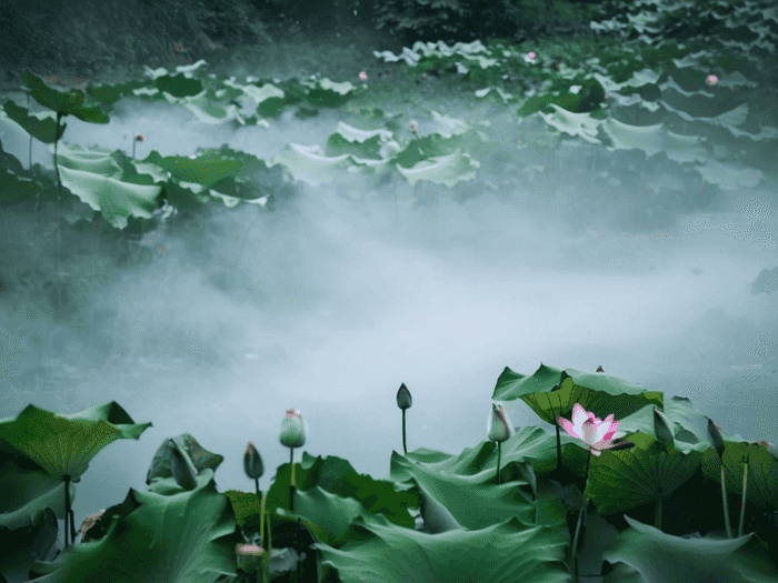 考研调剂是怎么进行的