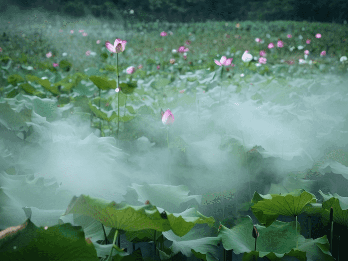 中专学历可以直接提升本科吗