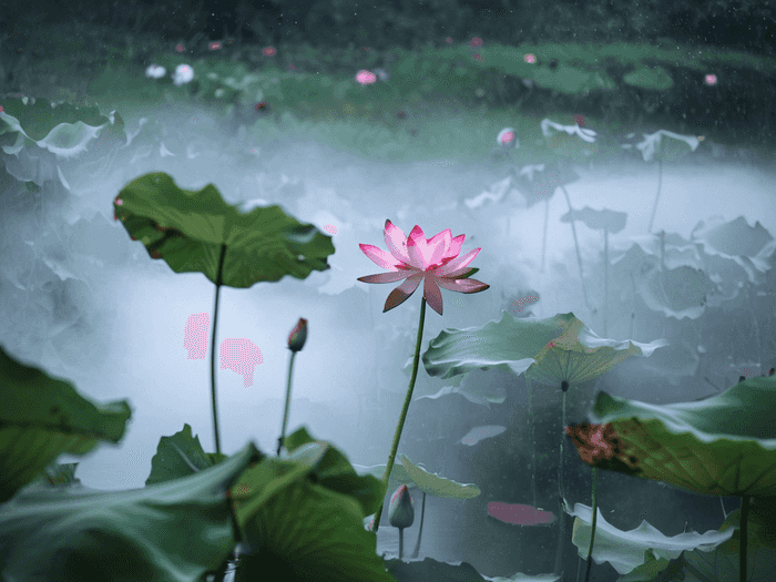 营养师就业前景怎么样