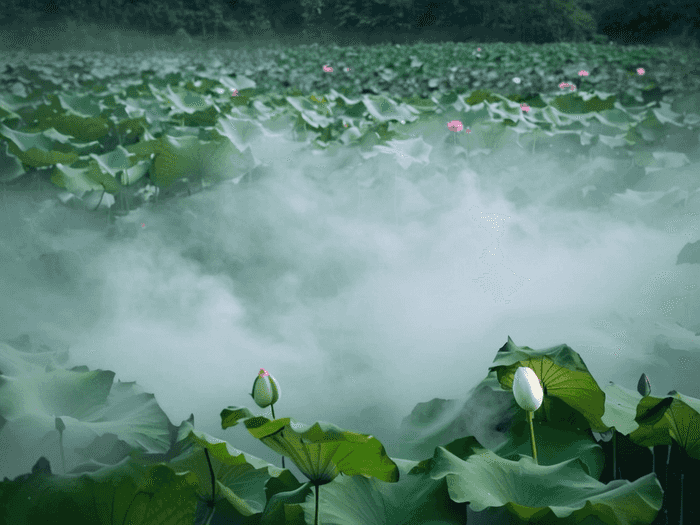 成都卫生学校发展前景如何