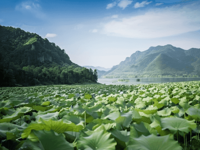 报业集团是什么编制