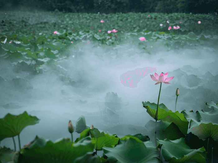 派遣制教师和编制教师的区别