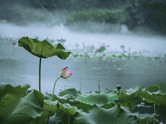 非师范类可以考教师编吗