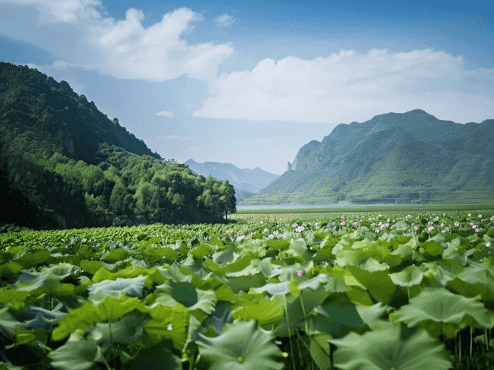 辽宁事业单位招聘信息在哪里看