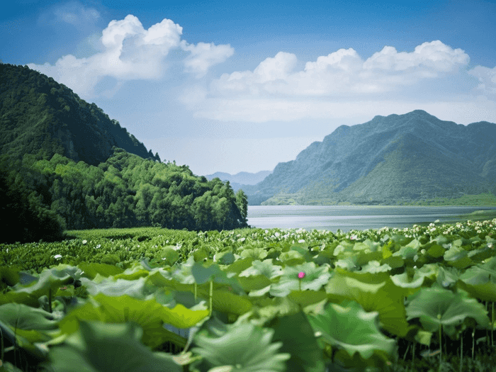 事业单位综合知识考试范围