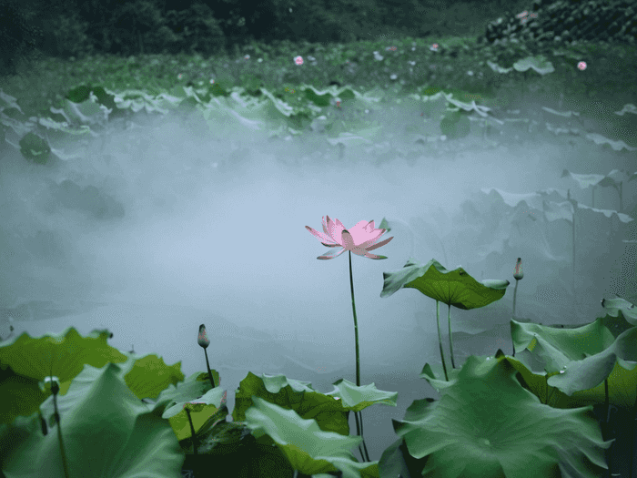 中公考研教材大纲多少钱