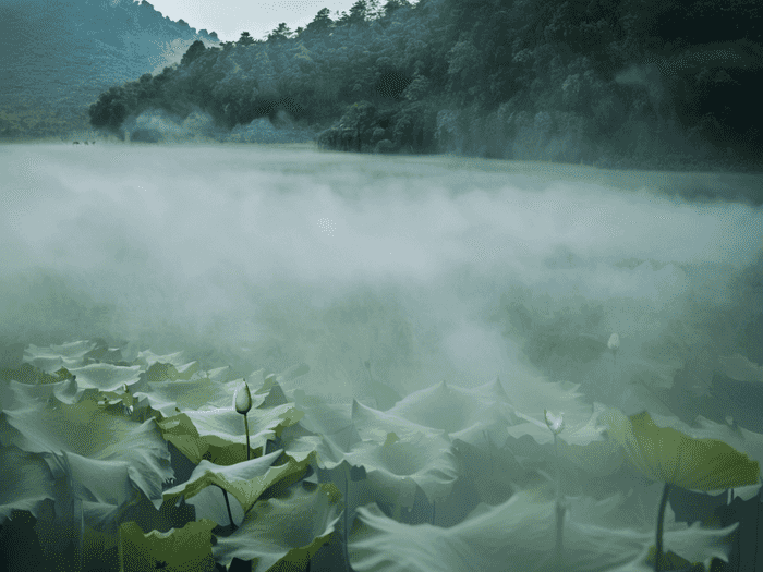 钉题库怎样