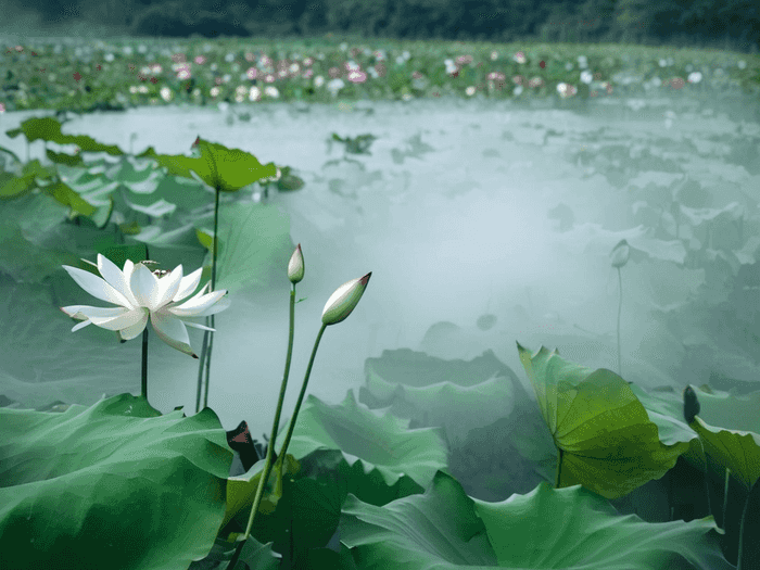 题库怎么发