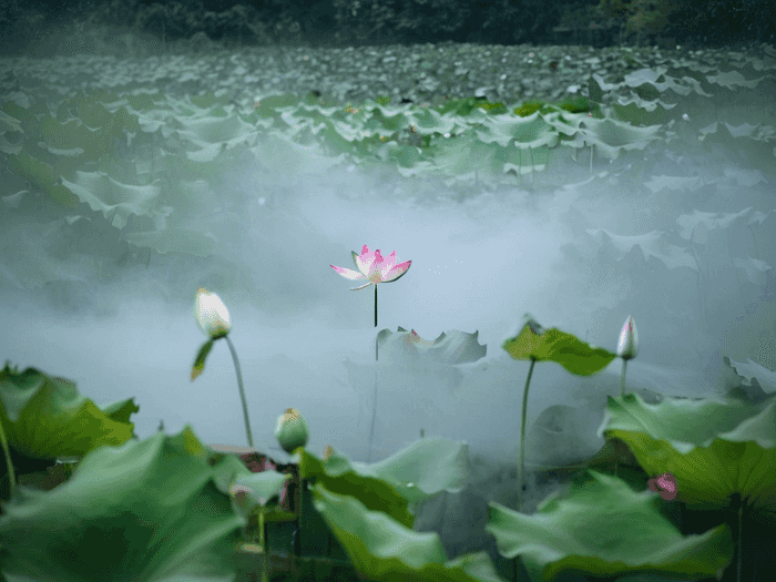 题库怎么弄