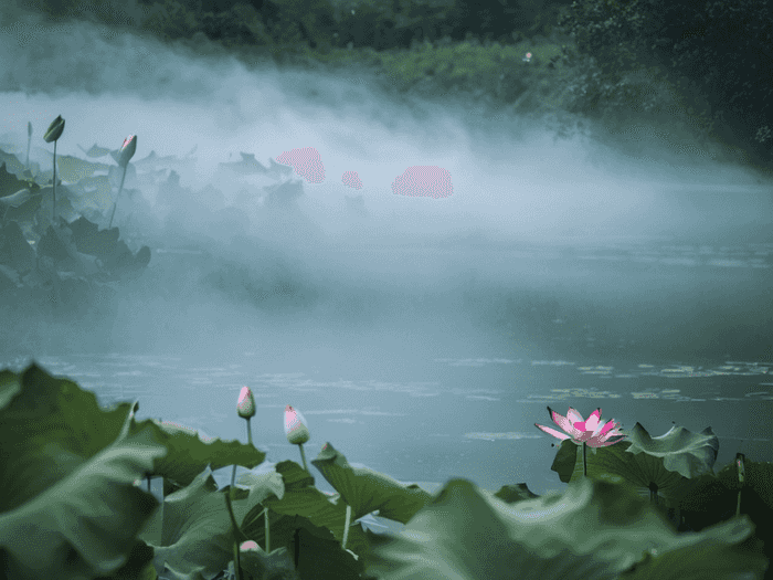 题库怎么领