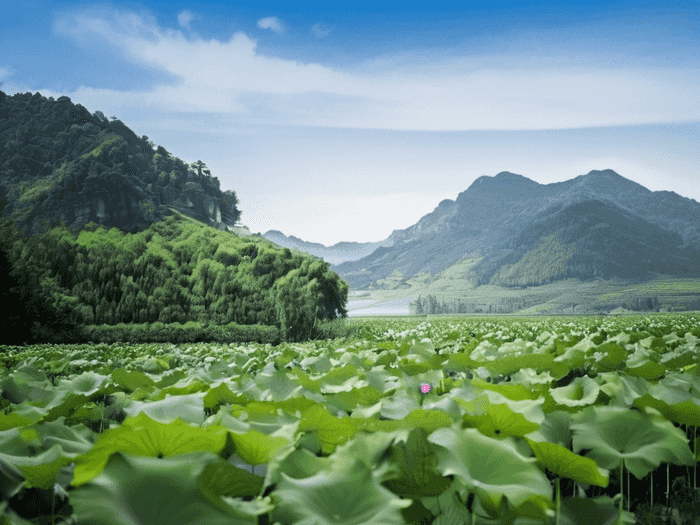 题库怎么规整