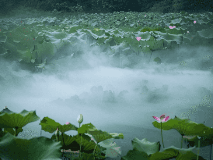 题库怎么签收