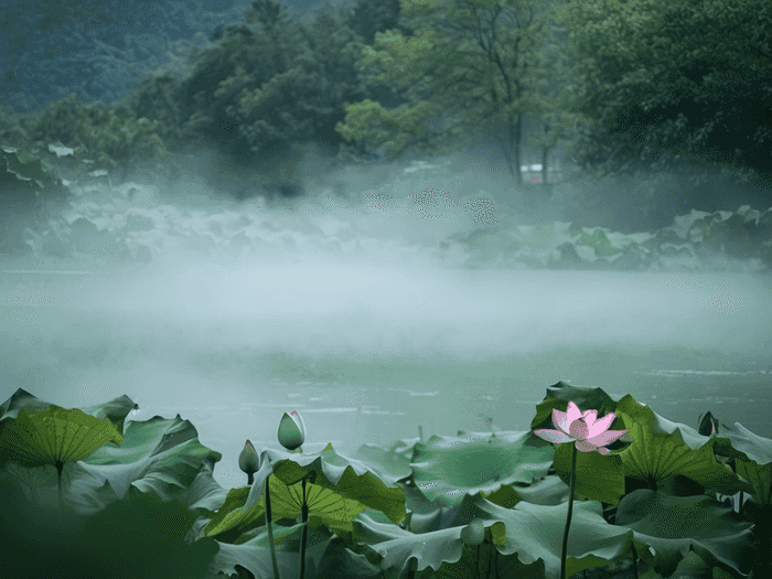 怎样搞村官