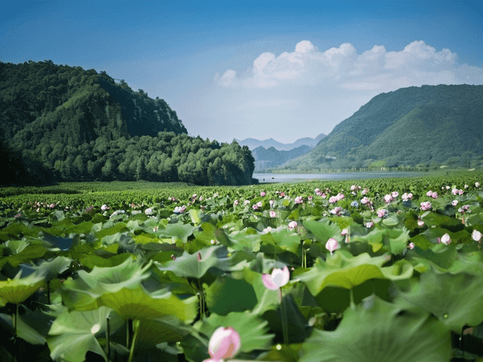 行测怎么