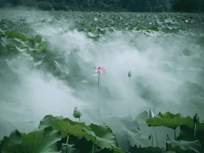 行测雷同怎么