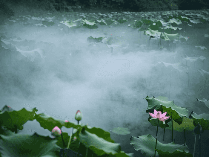 人工智能：未来教育的引领者