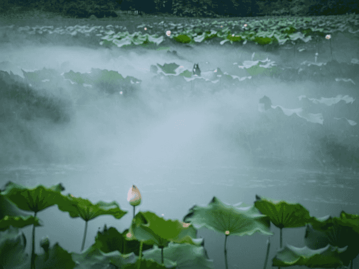 行测怎么纠错