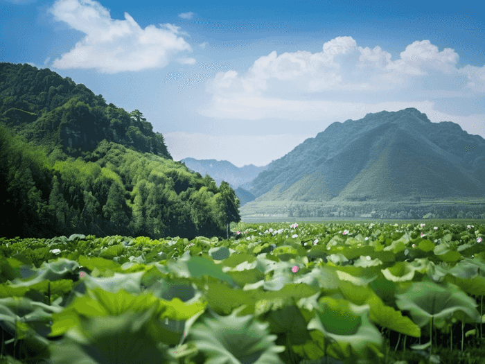 行测题目多少