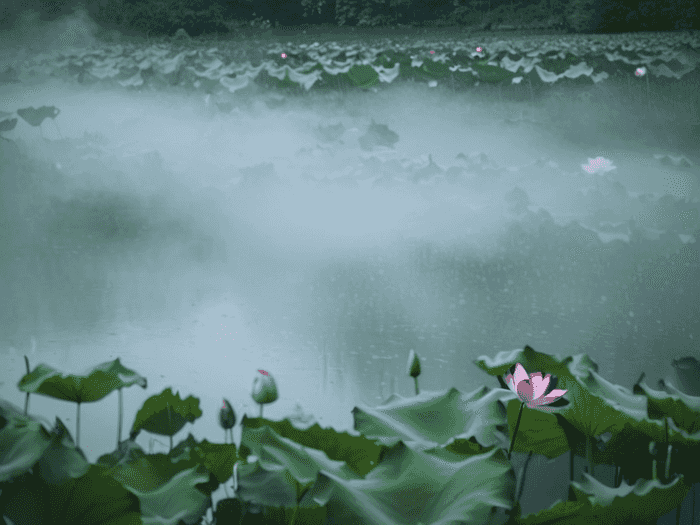 行测截除怎么