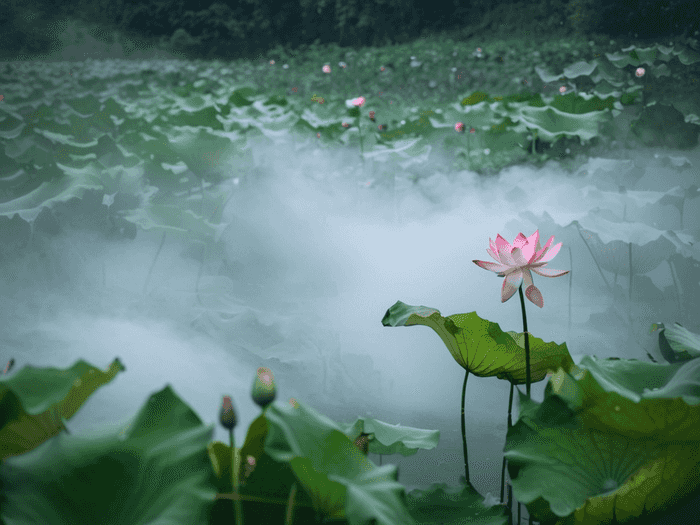 行测及格线多少