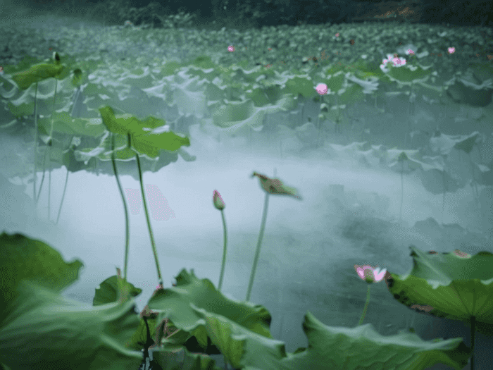 行测怎么学顺序