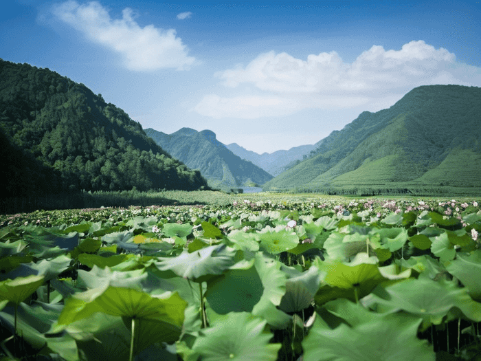 考研行测怎么背