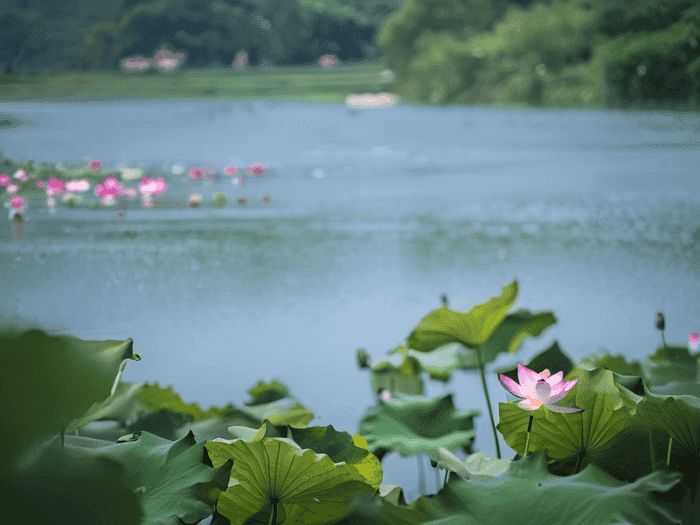 行测蒙选哪个