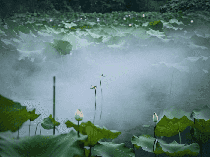 行测怎么训练