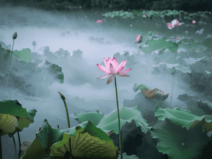 岳阳行测怎么样