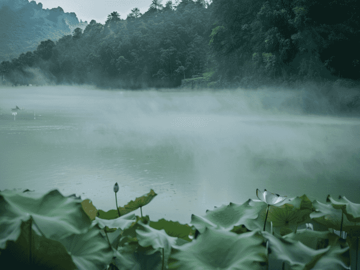 行测尺子怎么量