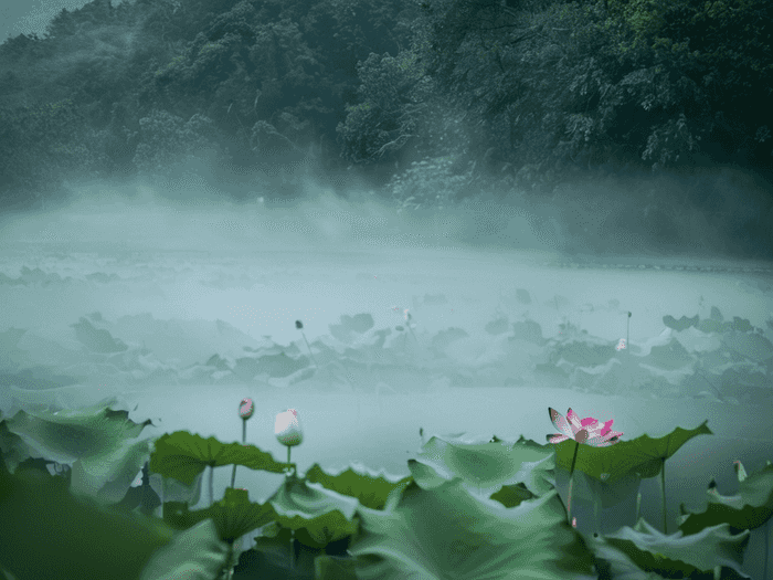 选调生考试：挑战与机遇并存