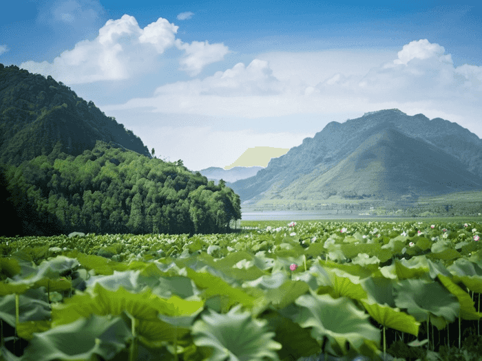 跨越地域限制，展现青春风采——关于选调生跨省工作的思考