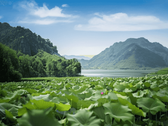 上海选调生考试：机遇与挑战并存