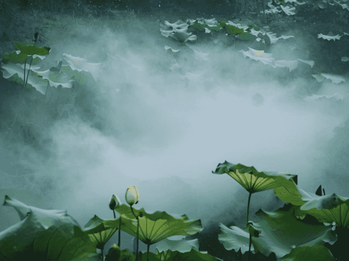 芜湖选调生多少名